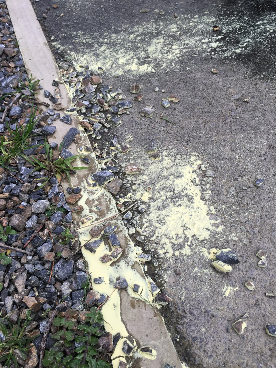 Spring Time - Pollen Time