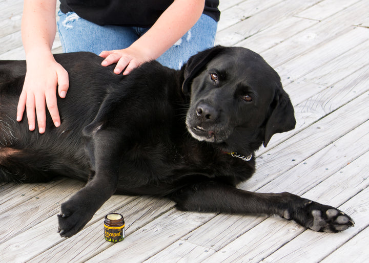 Eezapet natural itch relief 30ml plus Hoki Treats