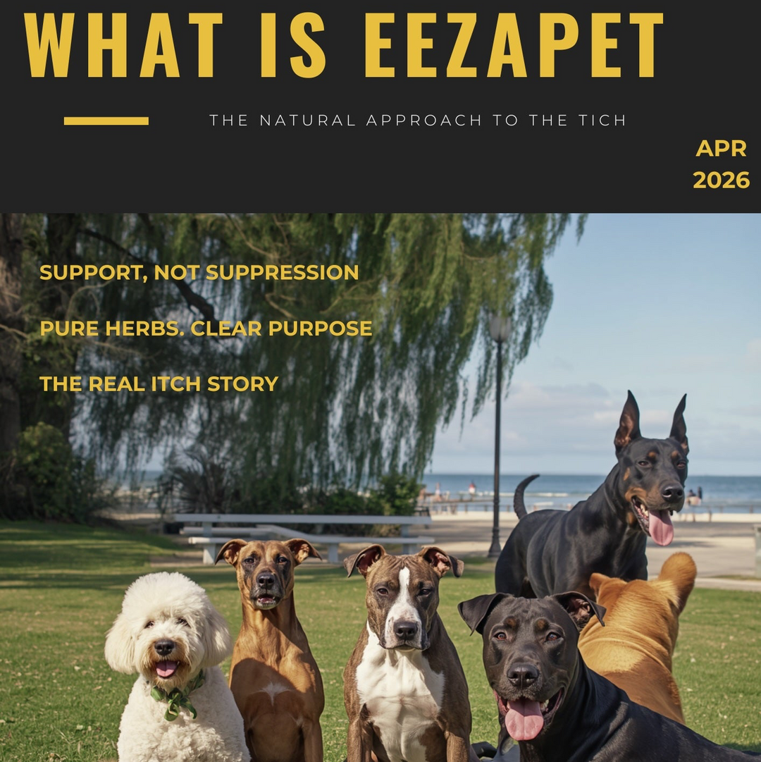 What Is Eezapet? A Natural Approach to the Itch